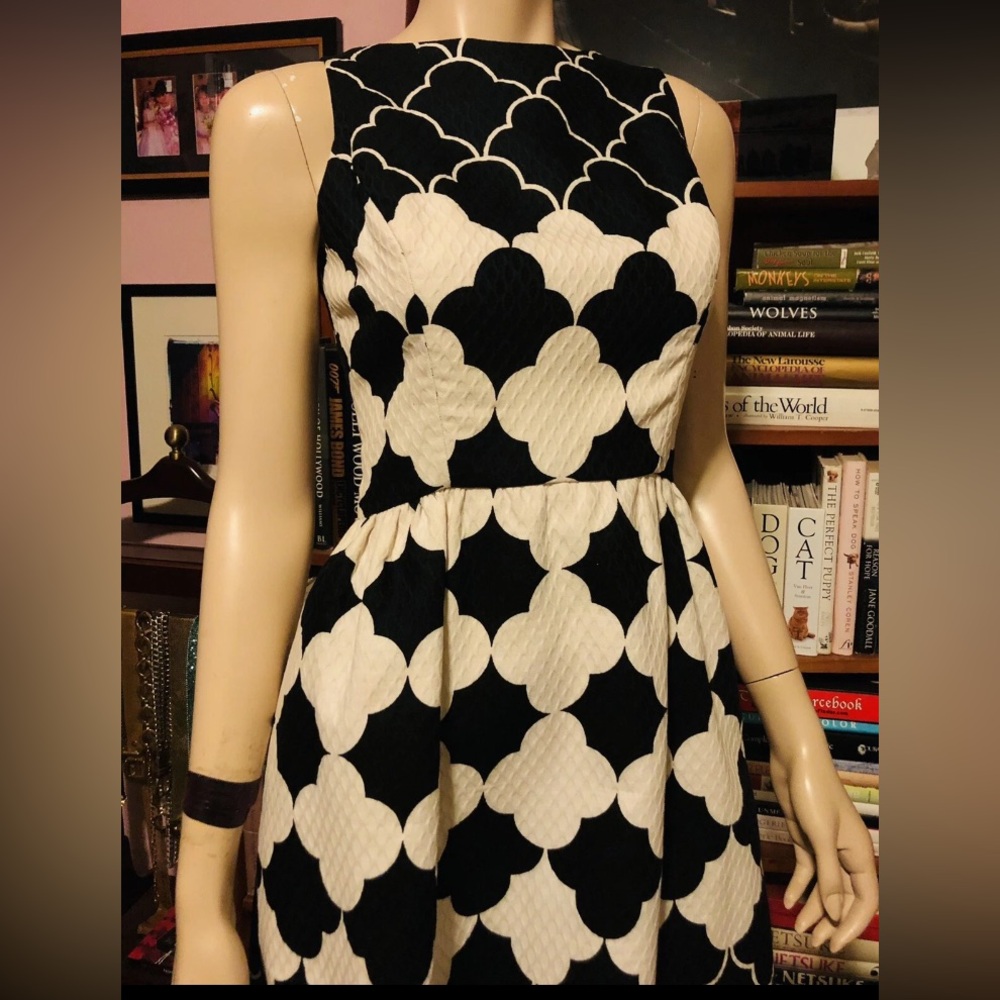 True Vintage Ceil Chapman Black and White Patterned Dress 1960s Waffle Fabric